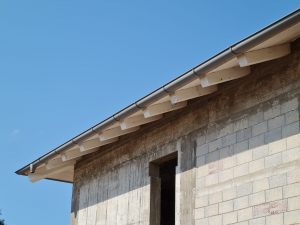 IMG-20201018-WA0061