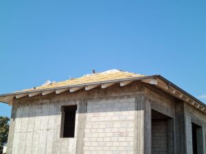 IMG-20201018-WA0066